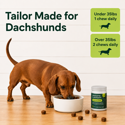 Barkwell Disc & Spine Chews